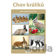 Chov králíků