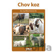 Chov koz
