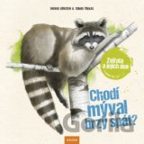 Chodí mýval brzy spát?