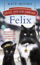 Full Steam Ahead Felix