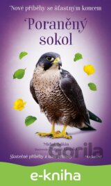 Nové příběhy se šťastným koncem – Poraněný sokol
