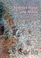 Sádrová hlava jiné Marie