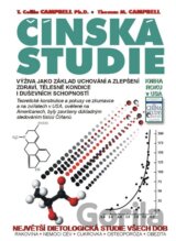 Čínská studie