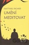 Umění meditovat