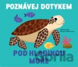 Pod hladinou moře