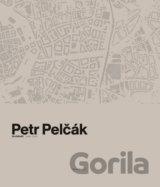 Petr Pelčák