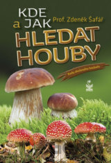 Kde a jak hledat houby