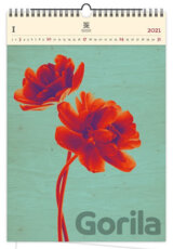 Tulip