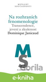 Na rozhraních fenomenologie