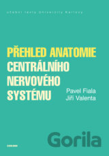 Přehled anatomie centrálního nervového systému
