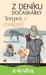 Z deníku dočaskářky - Ten pes je chuligán!