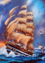 Amerigo Vespucci