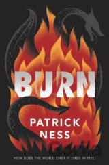 Burn