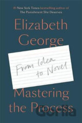 Mastering the Process : From Idea to Novel
