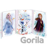 Zápisník kombinovaný: Ledové království