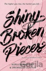 Shiny Broken Pieces
