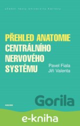 Přehled anatomie centrálního nervového systému