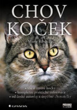 Chov koček