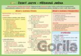 Český jazyk – Přídavná jména