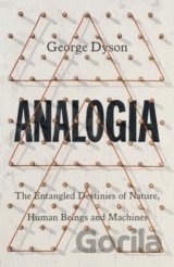 Analogia