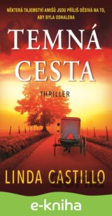 Temná cesta