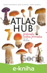 Atlas hub