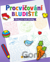 Procvičování: Bludiště