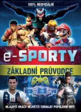 E-sporty - 100% neoficiální. Základní průvodce