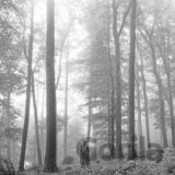 Taylor Swift: Folklore LP