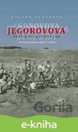 Jegorovova partizánska brigáda