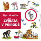 Zvířata v přírodě