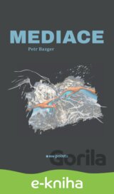 Mediace