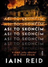Asi to skončím