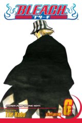 Bleach 6