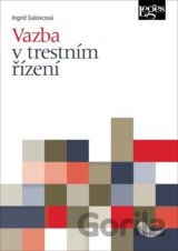 Vazba v trestním řízení