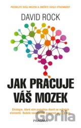 Jak pracuje váš mozek