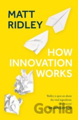 How Innovation Works