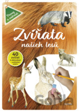 Zvířata našich lesů