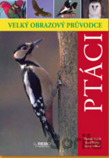 Ptáci