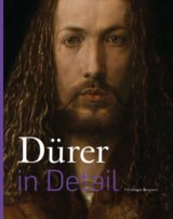 Dürer in Detail