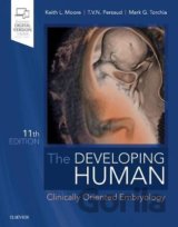 The Developing Human