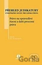 Přehled judikatury Evropského soudu pro lidská práva