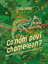 Co nám poví chameleon