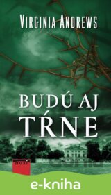 Budú aj tŕne