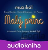 Malý princ - muzikál