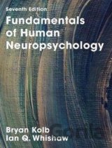Fundamentals of Human Neuropsychology