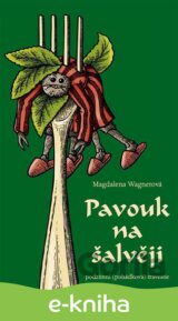 Pavouk na šalvěji