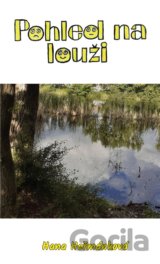 Pohled na louži