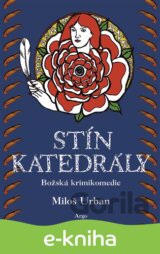 Stín katedrály
