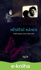 Měsíční kámen